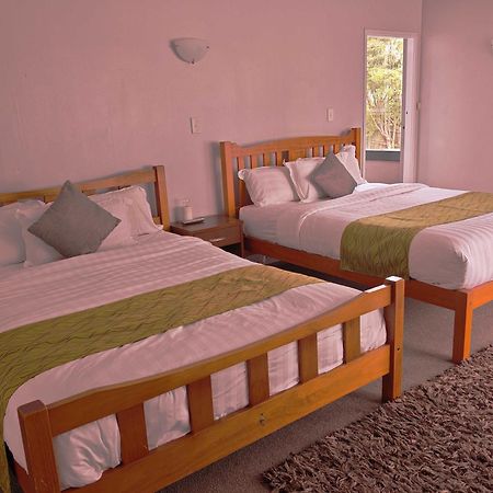 Newlands Court Motel Уелингтън Екстериор снимка